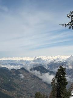 Sojhaholidayinn - Shoja - 9