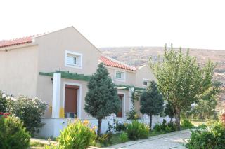 Sigrion Villas - Sígrion - 5