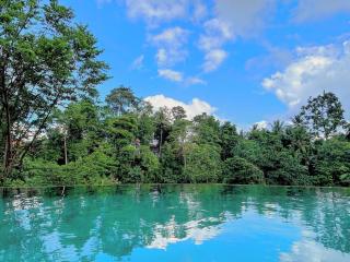 Tresna Bali Luxury Cabins Ubud - 6