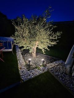 Villa Luxe - 3
