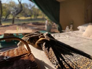 Lippizaner Glamping Tent Lake View - 4