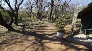 Lippizaner Glamping Tent Lake View - 2