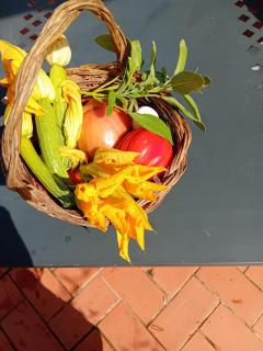 Chalet Il Loghino - 6