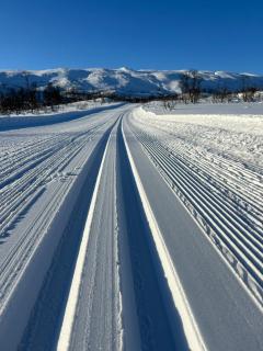 Reindeer Road - 9