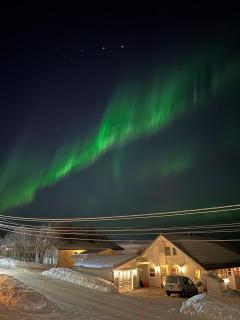 Reindeer Road - 3