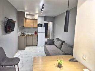 Stylish one-bedroom apartment - 0