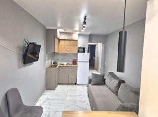 Stylish one-bedroom apartment - 5