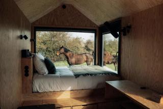 Romann - Parcel Tiny House - Tiny House à 1H30 de Lyon entourée par les chevaux MAE-1013 -  - 1