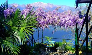Il Glicine sul Lago - 8