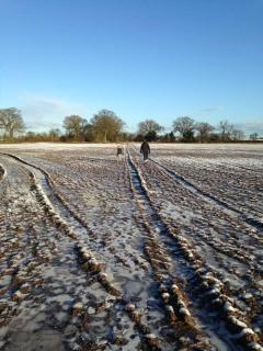 5BR Home Van Parking Fast WiFi NEC Solihull - 5