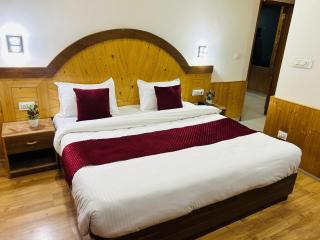 The Visor Hotel, Manali - 3