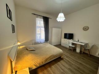 Cozy Apartment in the Heart of Prague - Prag - 8