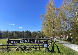 Hacienda del Piero - 6