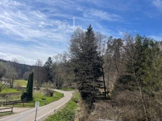 Ruheoase am Fischbachsee - 4