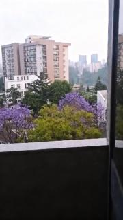 HD Residential Apartment , Bole Dembel - 6