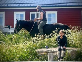 Cozy log cabin on a horse farm with lake views - 6