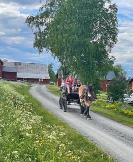 Cozy log cabin on a horse farm with lake views - 4