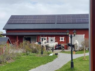 Cozy log cabin on a horse farm with lake views - 1