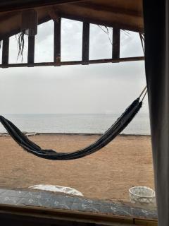 Eid Bedouin Life - 7