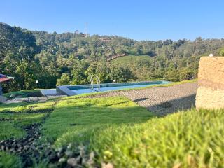 Tea Harmony Bunglow - 5