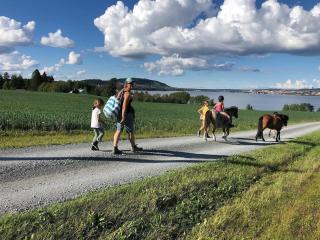 Genuine log cabin with lake views on horse farm - 7