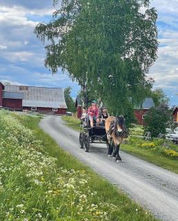 Genuine log cabin with lake views on horse farm - 2