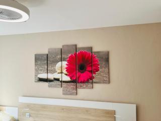 L'auberge fleurie - 3