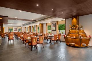 Olivia International - 3