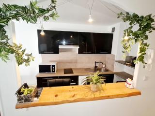 LE PETIT THAI 2 Pièces Climatisé Centre ville avec balcon - 4