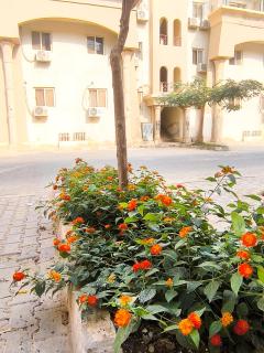 2BR chalets in La Sirena Mini Egypt Ain Sokhna for families only - 5