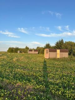 Atpūtas vieta Friči - 2