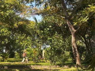 Sita joyeh island resort - 9