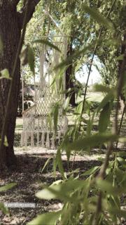 Agriturismo I Bosconi - 5