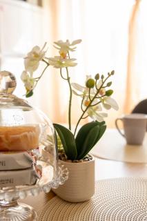 Central Tresa B&B Apartment in the center - 1