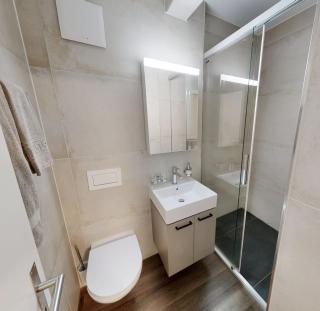 Apartmenthouse Viktoria in Bern - 2