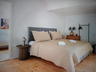 Central Apartment in Denmark - 1