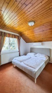 Luxury Villa near Prague Pool, Wellness, Garden - 5