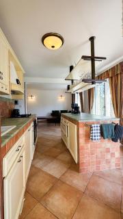 Luxury Villa near Prague Pool, Wellness, Garden - 1