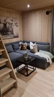 Cabin At The Gateway To Jotunheimen - 5