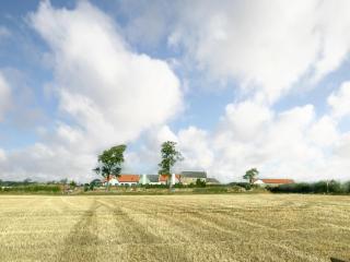 Mayflower - Uk43632 - 2