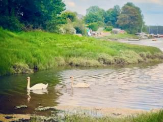 Oystercatcher Cottage - 1