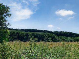 Tranquillity-Uk38552 - 8