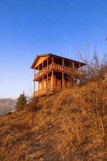 Hidden Orchard Stay, Jibhi Tirthan Valley - 9