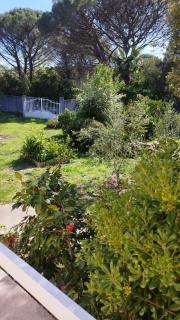 casa SamaSama - Porto-Vecchio - 5