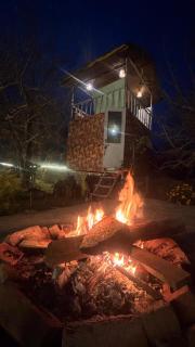 Jugni -The Farmstay - 8