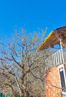 Jugni -The Farmstay - 3