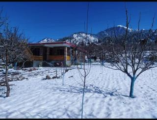 Jugni -The Farmstay - 7