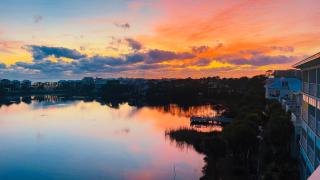 Carillon Beach Resort Inn 414 - Chasing Sunsets - 6