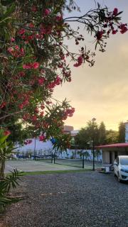 Stays by Pickolo - 1