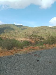 Golden Oak- Zame Hideaway Nature Retreat - 5